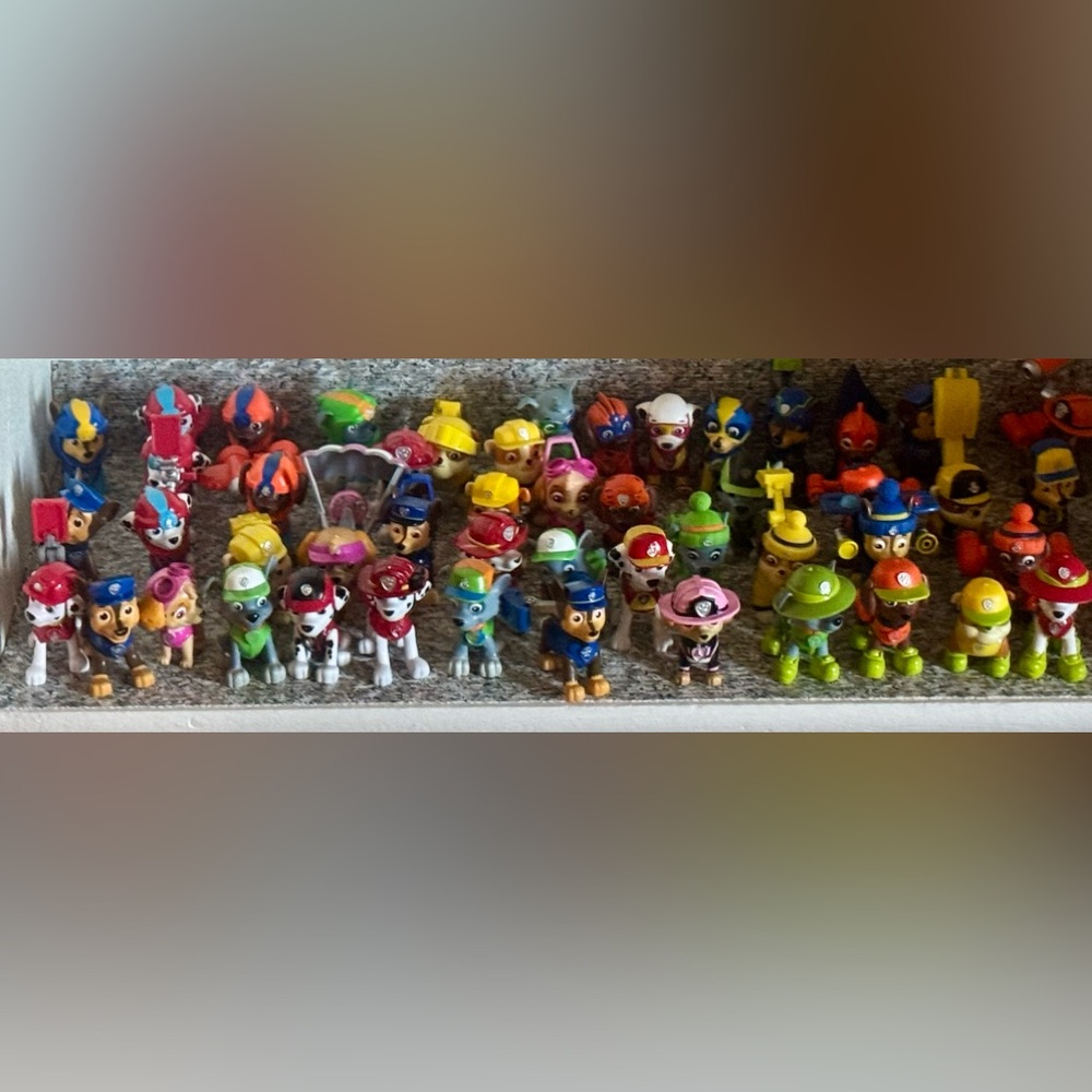 Paw Patrol Collection